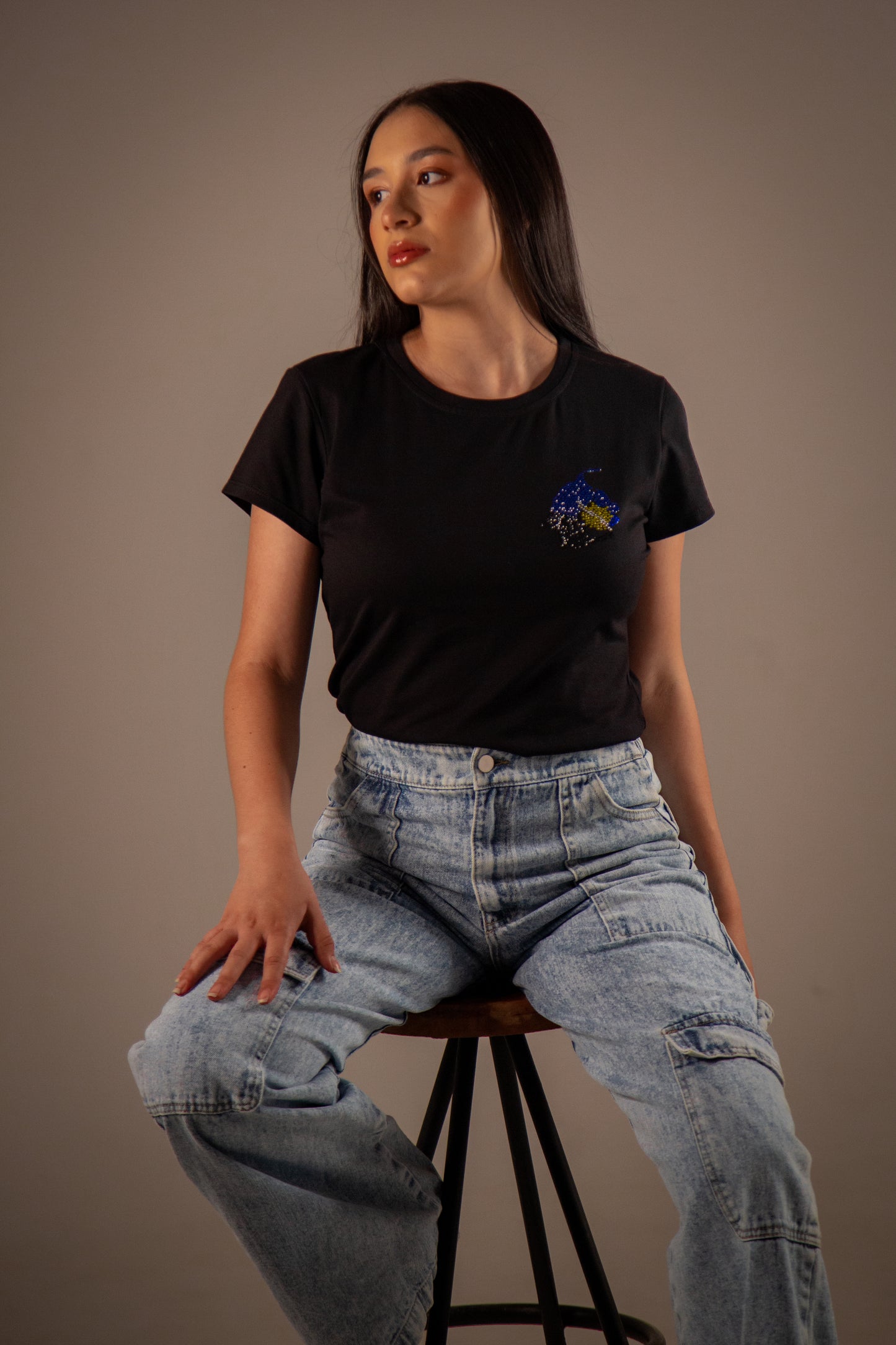 Basic Mapa Bandera Del Zulia